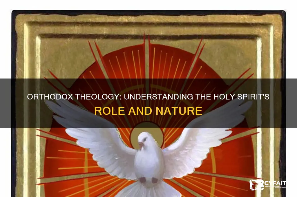 what do orthodox beilieve the theology of holy spirit