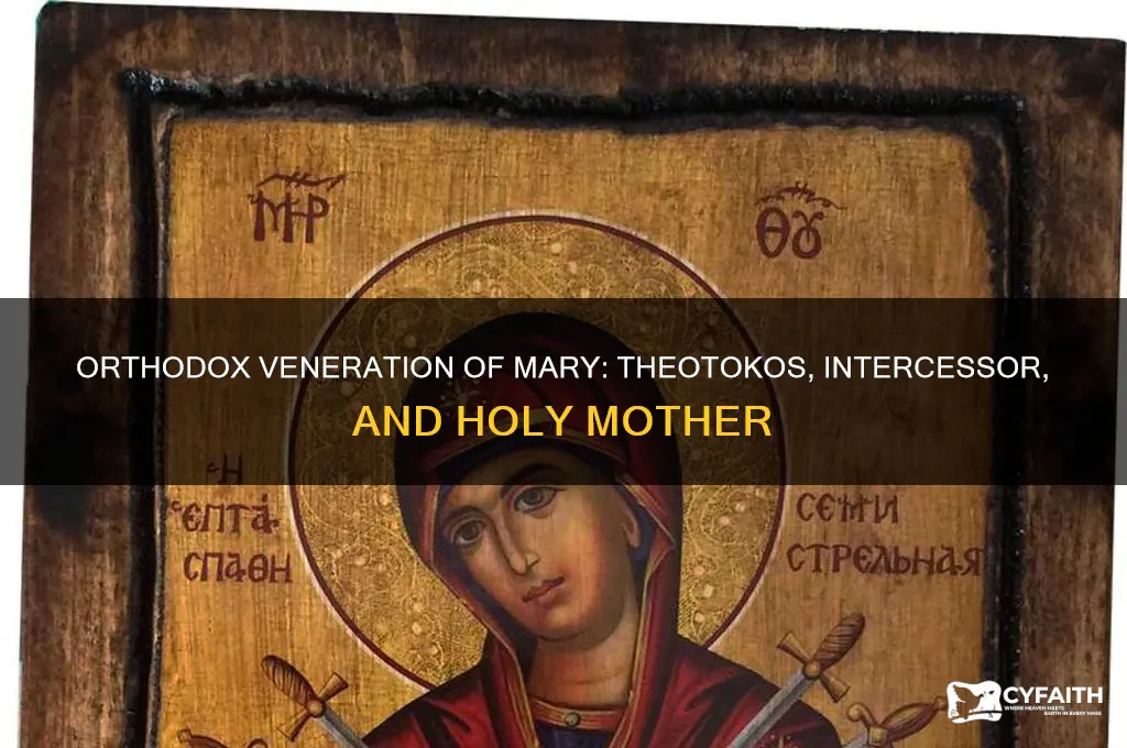 what do orthodox believe about mary