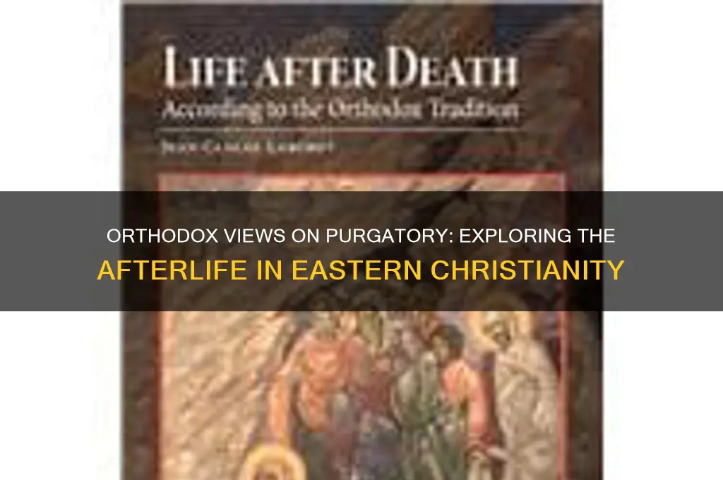 what do orthodox believe about purgatory
