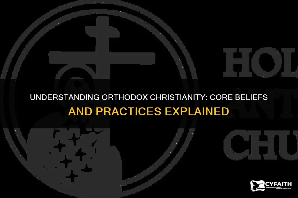 what do orthodox belive