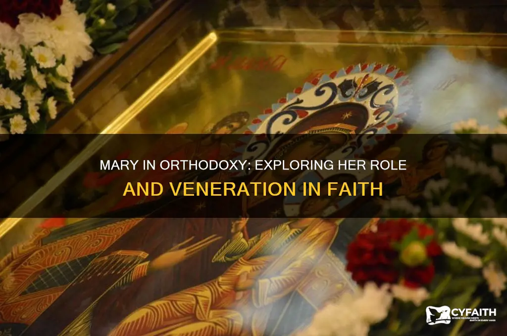 what do orthodox chirsitans believe about mary