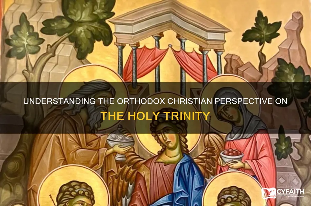 what do orthodox christians believe about the trinity
