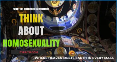 Orthodox Christianity's Perspective on Homosexuality: Beliefs and Teachings Explored
