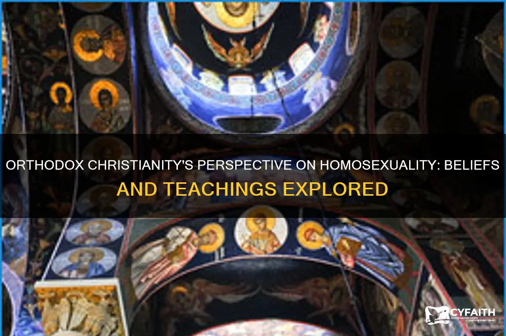 what do orthodox christians think about homosexuality