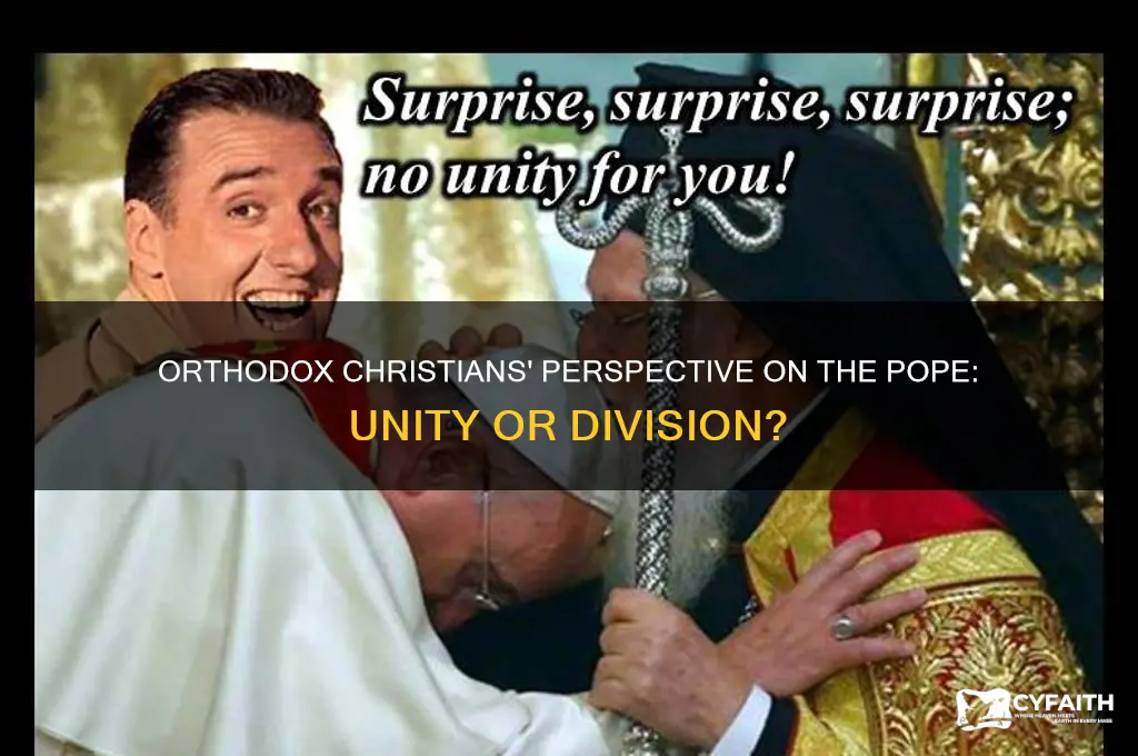 what do orthodox christians think of the pope