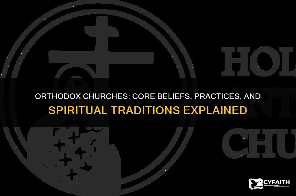 what do orthodox churches believe