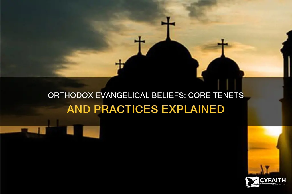 what do orthodox evangelical believe