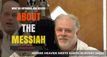 Orthodox Jewish Messiah Beliefs: Understanding Their Faith and Expectations