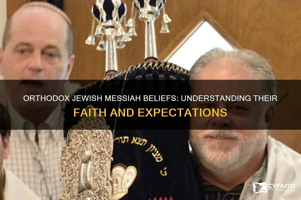 what do orthodox jew believe about the messiah
