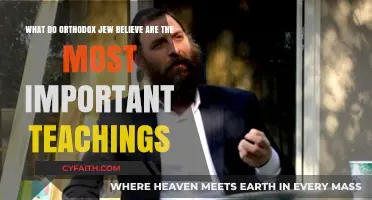 Core Orthodox Jewish Teachings: Values, Torah, and Daily Life