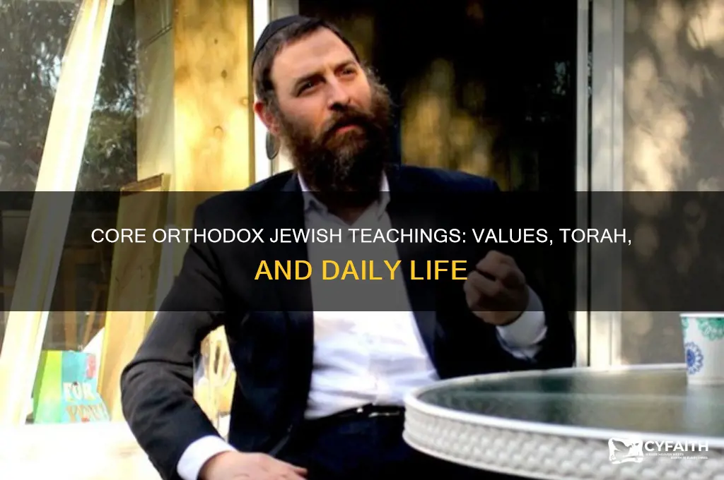 what do orthodox jew believe are the most important teachings