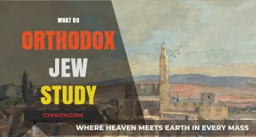 Exploring Orthodox Jewish Studies: Torah, Talmud, and Tradition