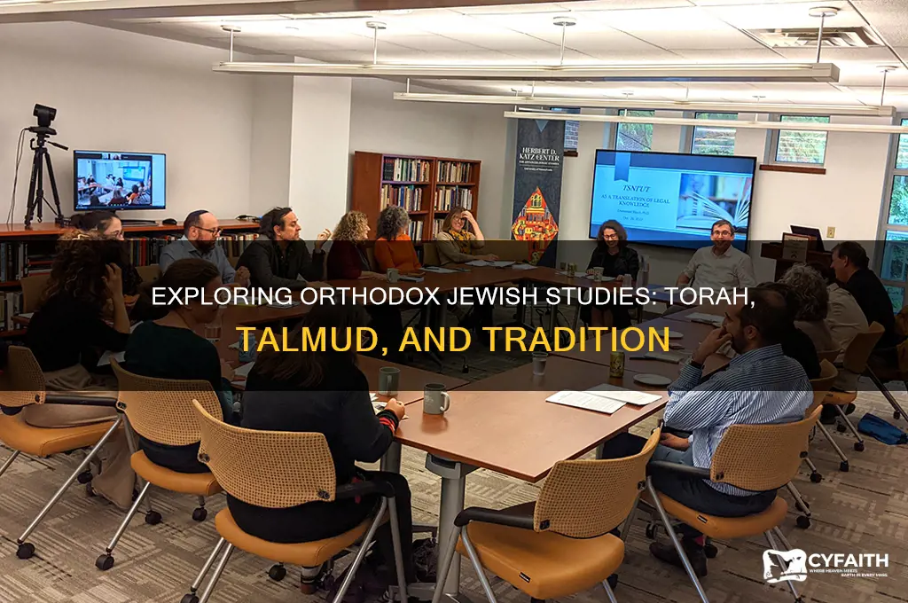 what do orthodox jew study