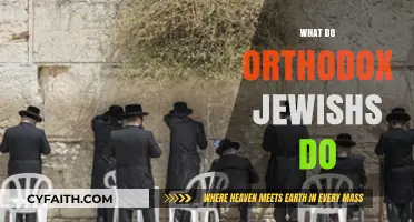 Understanding Orthodox Jewish Practices: Daily Life, Traditions, and Beliefs Explained