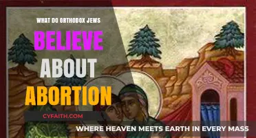 Orthodox Jewish Perspectives on Abortion: Beliefs, Ethics, and Halacha