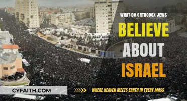 Orthodox Jewish Beliefs on Israel: Faith, Land, and Divine Promise