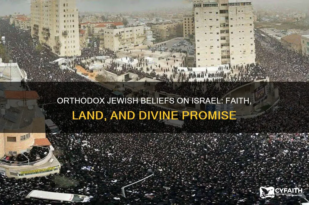 what do orthodox jews believe about israel