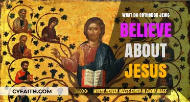 Orthodox Jewish Perspectives on Jesus: Faith, History, and Theology Explained