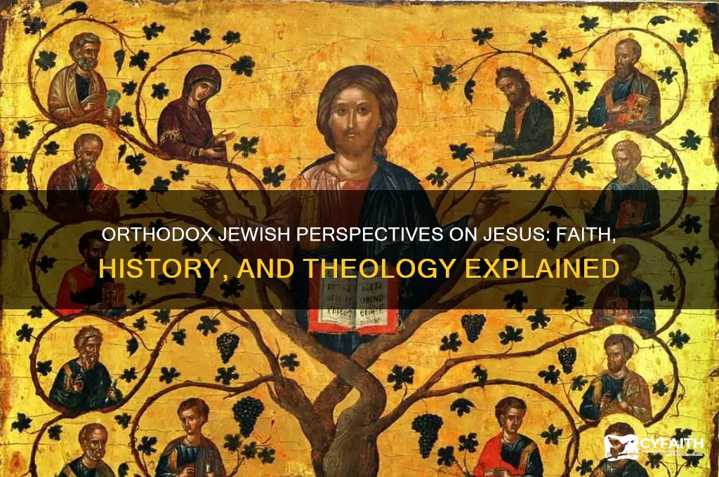 what do orthodox jews believe about jesus