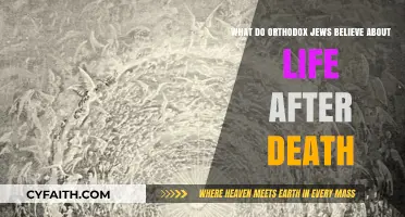Orthodox Jewish Beliefs on the Afterlife: Exploring Life After Death
