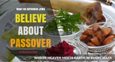 Orthodox Jewish Passover Beliefs: Traditions, Freedom, and Faith Explained