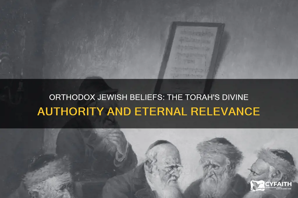 what do orthodox jews believe about the torah