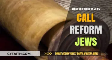 Orthodox Jews' Terminology for Reform Jews: Understanding the Label
