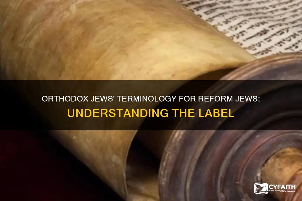 what do orthodox jews call reform jews