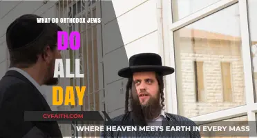 Daily Life of Orthodox Jews: Rituals, Work, and Community Practices
