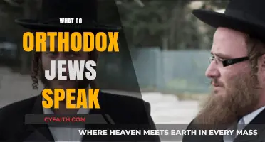 What Language Do Orthodox Jews Speak? Exploring Their Linguistic Traditions