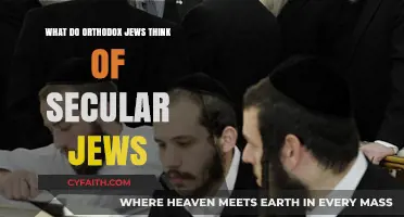 Orthodox Perspectives: Understanding Views on Secular Jewish Identities and Lifestyles