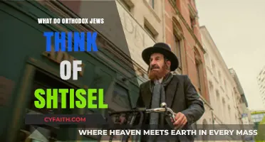 Shtisel's Impact: Orthodox Jewish Perspectives on the Acclaimed TV Series