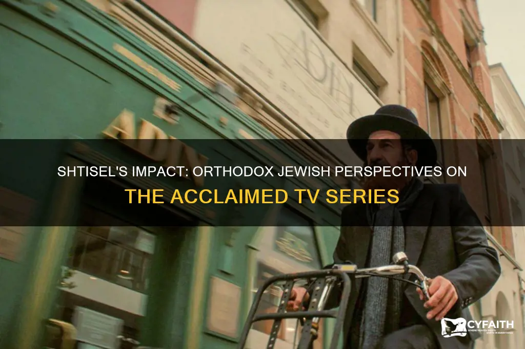 what do orthodox jews think of shtisel