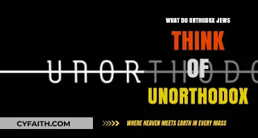 Orthodox Perspectives: Understanding Views on Unorthodox Practices and Beliefs