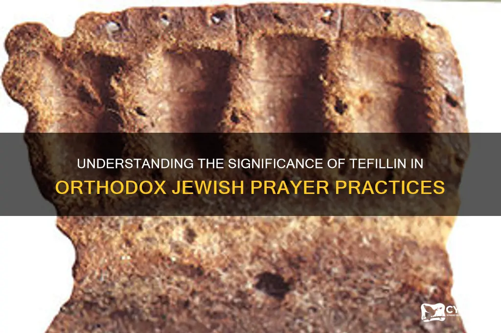what do orthodox jews wrap around their arms