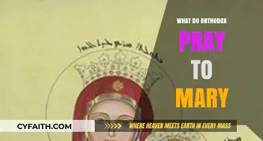 Orthodox Prayers to Mary: Understanding Her Role in Devotion and Worship