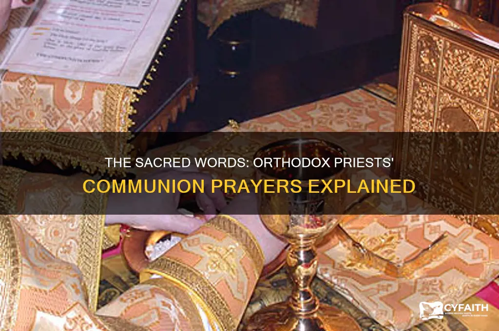 what do orthodox priests say at communion