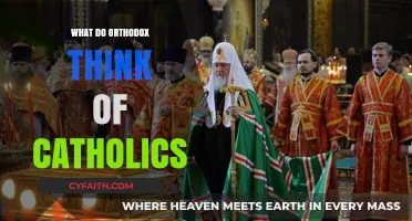 Orthodox Perspectives on Catholics: Unity, Differences, and Mutual Understanding