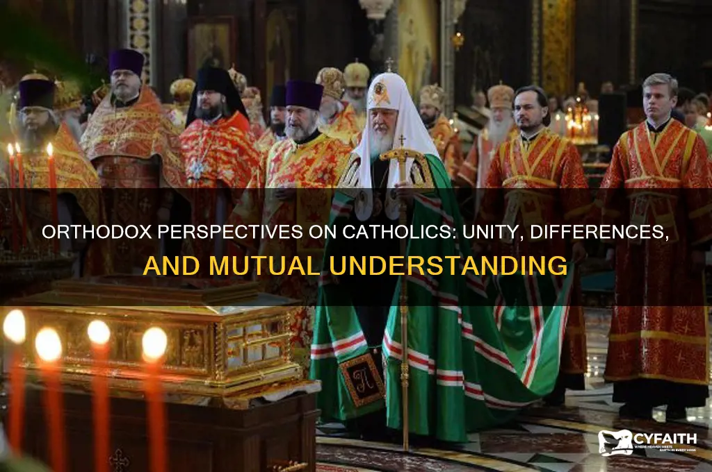 what do orthodox think of catholics