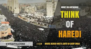 Orthodox Perspectives on Haredi Judaism: Understanding the Differences and Similarities
