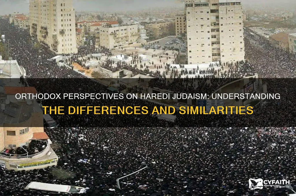 what do orthodox think of haredi