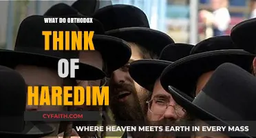 Orthodox Perspectives on Haredim: Understanding the Dynamics and Differences
