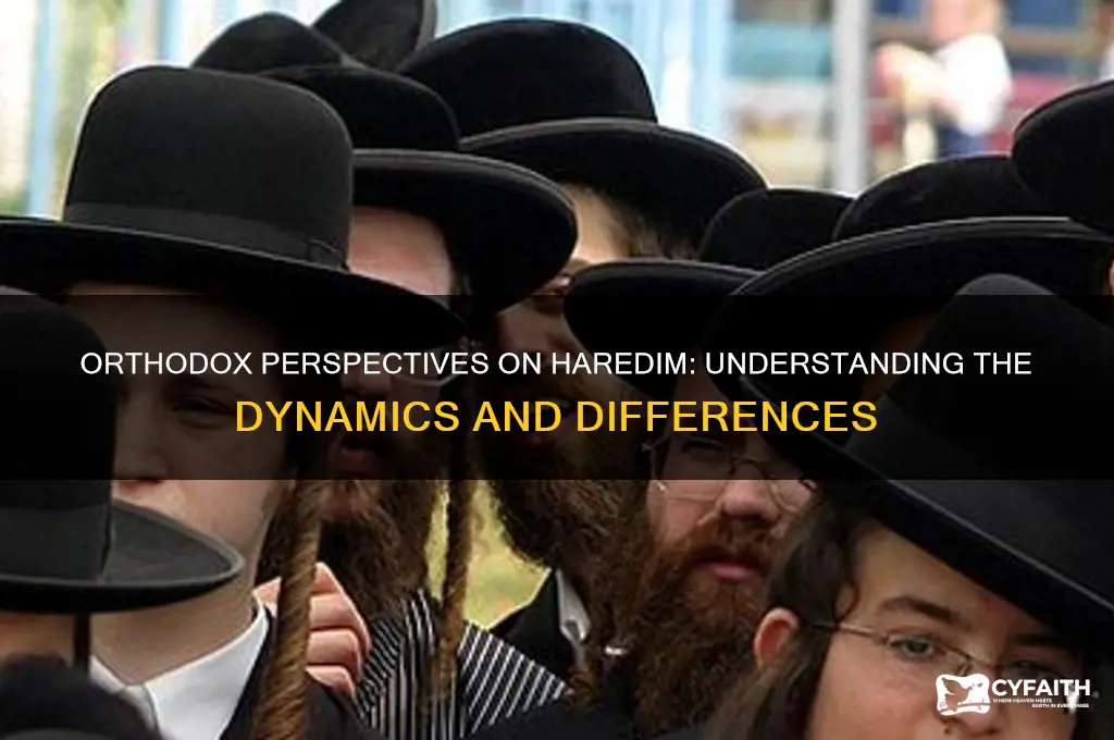 what do orthodox think of haredim
