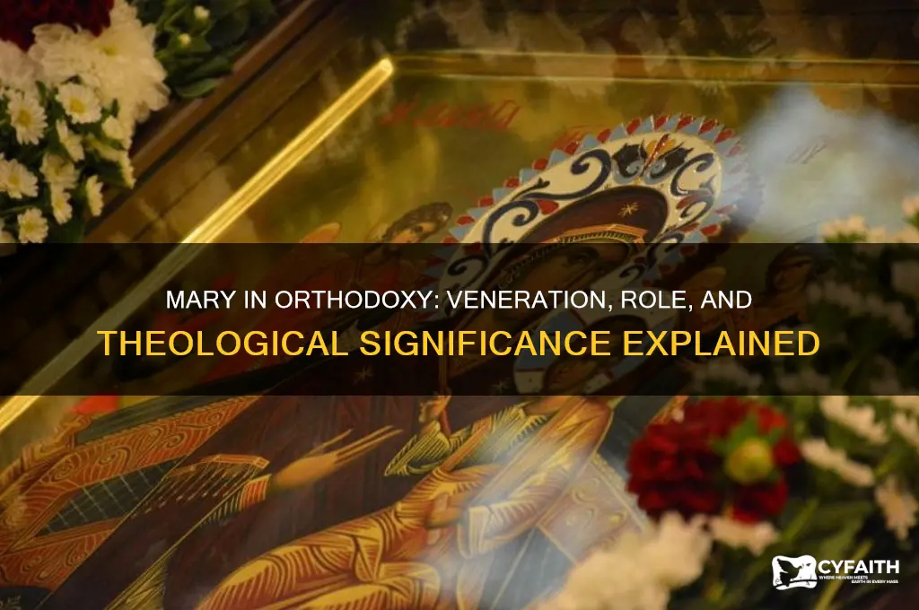 what do orthodox think of mary