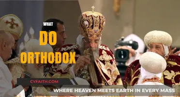 Understanding Orthodox Beliefs: Practices, Traditions, and Daily Life Explained
