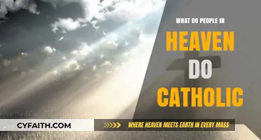 Catholic Perspective: Daily Life and Joys in Heaven Explained