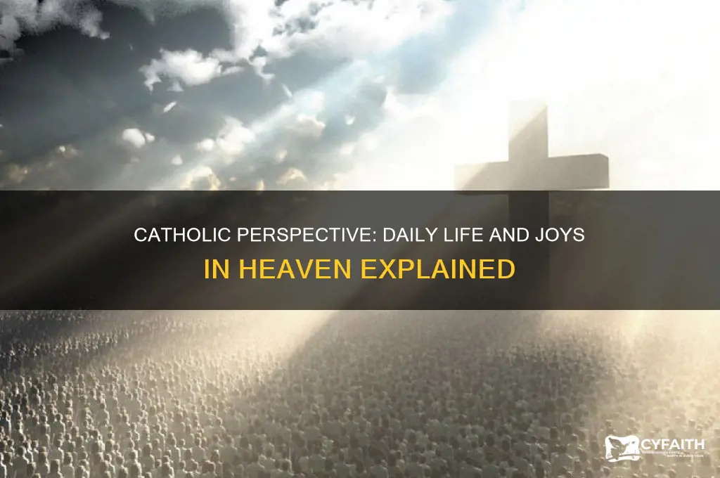 what do people in heaven do catholic