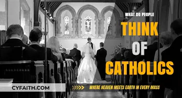 Perceptions of Catholics: Exploring Public Opinions and Cultural Attitudes