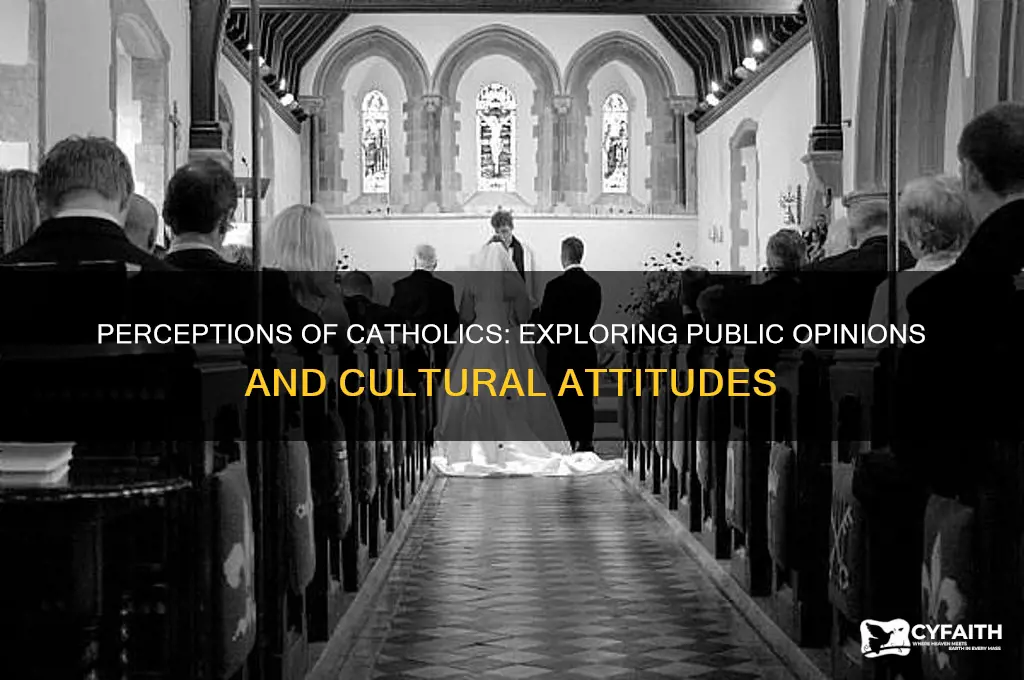 what do people think of catholics
