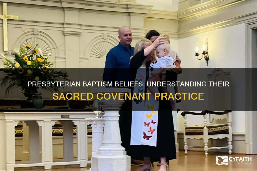 what do presbyterian believe about baptism